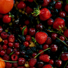 Estes alimentos podem ser muito benéficos para a saúde da mente - Foto: Envato Elements