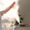 Manter o ambiente umidificado quando o clima está seco é muito importante - Foto: Envato Elements