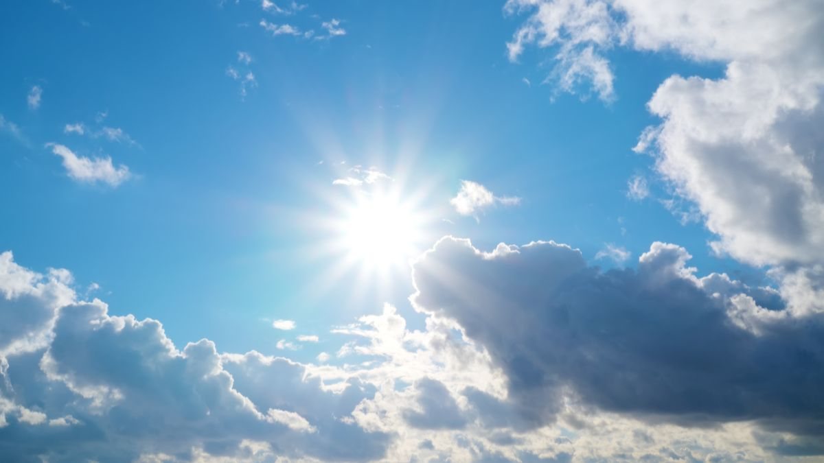A exposição ao sol é a forma mais eficiente de obter vitamina D - Foto: Envato Elements