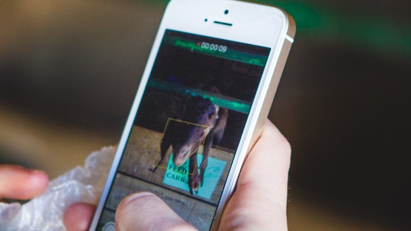 Modelos anteriores ao Iphone 6 perderão o suporte - Envato