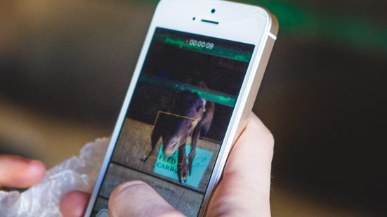 Modelos anteriores ao Iphone 6 perderão o suporte - Envato