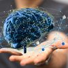 Um aparelho com eletrodos foi o principal meio para medir a atividade cerebral durante a pesquisa - Envato