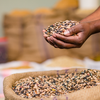 A alimentação é peça-chave para manter o cérebro saudável. - Foto: Envato Elements