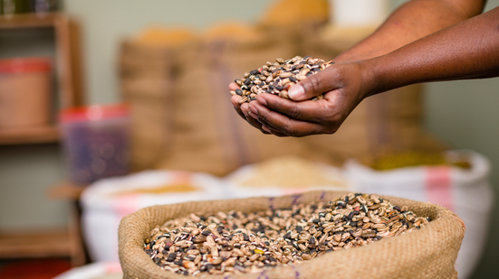 A alimentação é peça-chave para manter o cérebro saudável. - Foto: Envato Elements