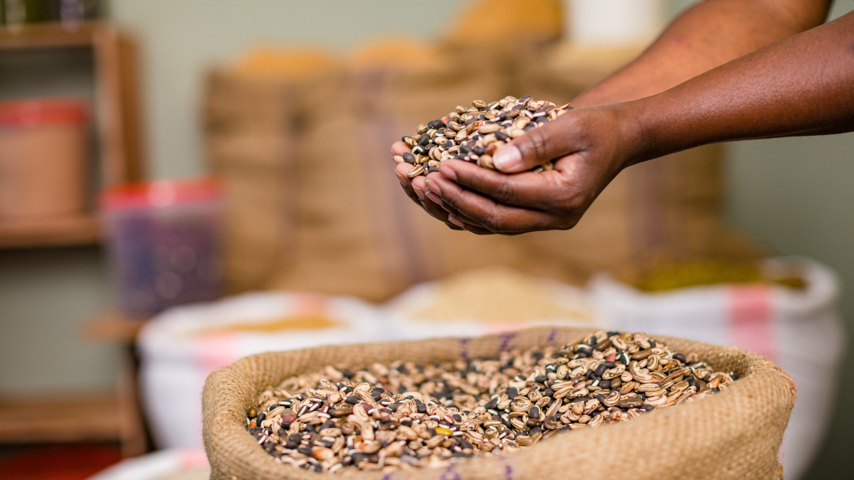 A alimentação é peça-chave para manter o cérebro saudável. - Foto: Envato Elements