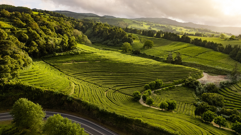 Seja qual for o seu perfil, vale a pena planejar com calma e montar um roteiro que combine natureza, cultura, descanso e diversão - Foto: Envato Elements