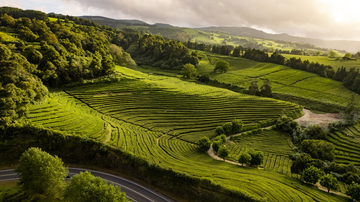 Seja qual for o seu perfil, vale a pena planejar com calma e montar um roteiro que combine natureza, cultura, descanso e diversão - Foto: Envato Elements
