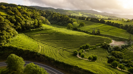 Seja qual for o seu perfil, vale a pena planejar com calma e montar um roteiro que combine natureza, cultura, descanso e diversão - Foto: Envato Elements