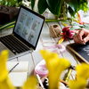 Nesta data comemoramos o impacto desses empreendimentos na economia e no social - Foto: Envato Elements