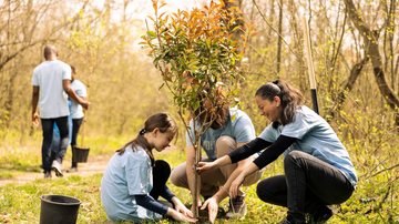 Decreto publicado no Diário Oficial tem objetivos até 2050 - Foto: Envato Elements