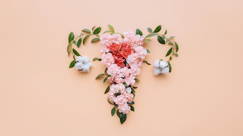 O tratamento da endometriose após a menopausa ainda é motivo de debate entre os médicos - Foto: Adobe Stock