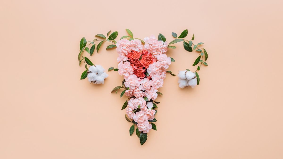 O tratamento da endometriose após a menopausa ainda é motivo de debate entre os médicos - Foto: Adobe Stock