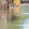 A estatal instalou uma Sala de Situação para executar ações de ajuda à população atingida pelas enchentes no Rio Grande do Sul na manhã de sexta-feira, 20 - Bruno Peres/Agência Brasil