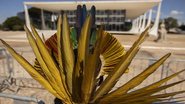 A tese define que os indígenas têm direito apenas a terras que estavam em sua posse ou em disputa judicial na data da promulgação da Constituição Federal - Joédson Alves/Agência Brasil