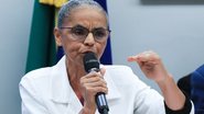 A ministra do Meio Ambiente e Mudança do Clima, Marina Silva, afirmou que o governo está buscando equilíbrio para que "ecologia não brigue com economia" - Lula Marques/ Agência Brasil