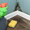 Manter a casa seca, limpa e arejada é o melhor jeito de afastar o mofo - Foto: Envato Elements