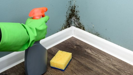 Manter a casa seca, limpa e arejada é o melhor jeito de afastar o mofo - Foto: Envato Elements