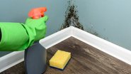 Manter a casa seca, limpa e arejada é o melhor jeito de afastar o mofo - Foto: Envato Elements