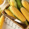 Para preparar, amacie as folhas de milho em água quente para que fiquem flexíveis - Envato