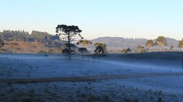 Massa de ar frio derruba temperaturas\u003B veja previsão para o domingo