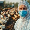 Ao todo, 25 países importadores já retomaram as compras de frango brasileiro - Adobe Stock