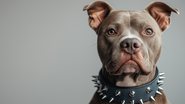 Em Santa Catarina, pitbull só pode circular com focinheira e enforcador - Adobe Stock