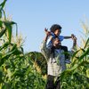 Um dos objetivos do programa é aumentar acesso a alimentos saudáveis, sobretudo produzidos pela agricultura familiar - Envato