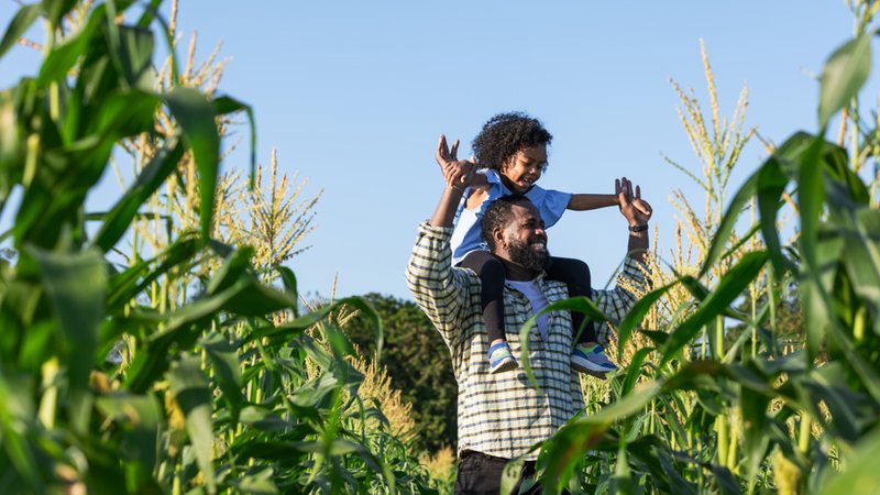 Um dos objetivos do programa é aumentar acesso a alimentos saudáveis, sobretudo produzidos pela agricultura familiar - Envato