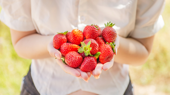 Inúmeros municípios organizam festas dedicadas à fruta, valorizando produtores locais, gastronomia e cultura regional - Foto: Envato Elements