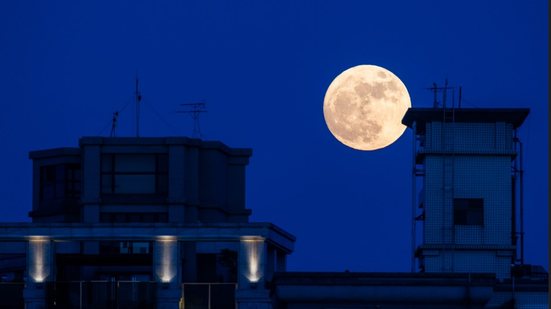 A Lua cheia de julho atinge seu pico nesta quinta-feira, 10, às 17h36 (horário de Brasília), mas ela pode ficar mais visível após o pôr-do-sol - Envato