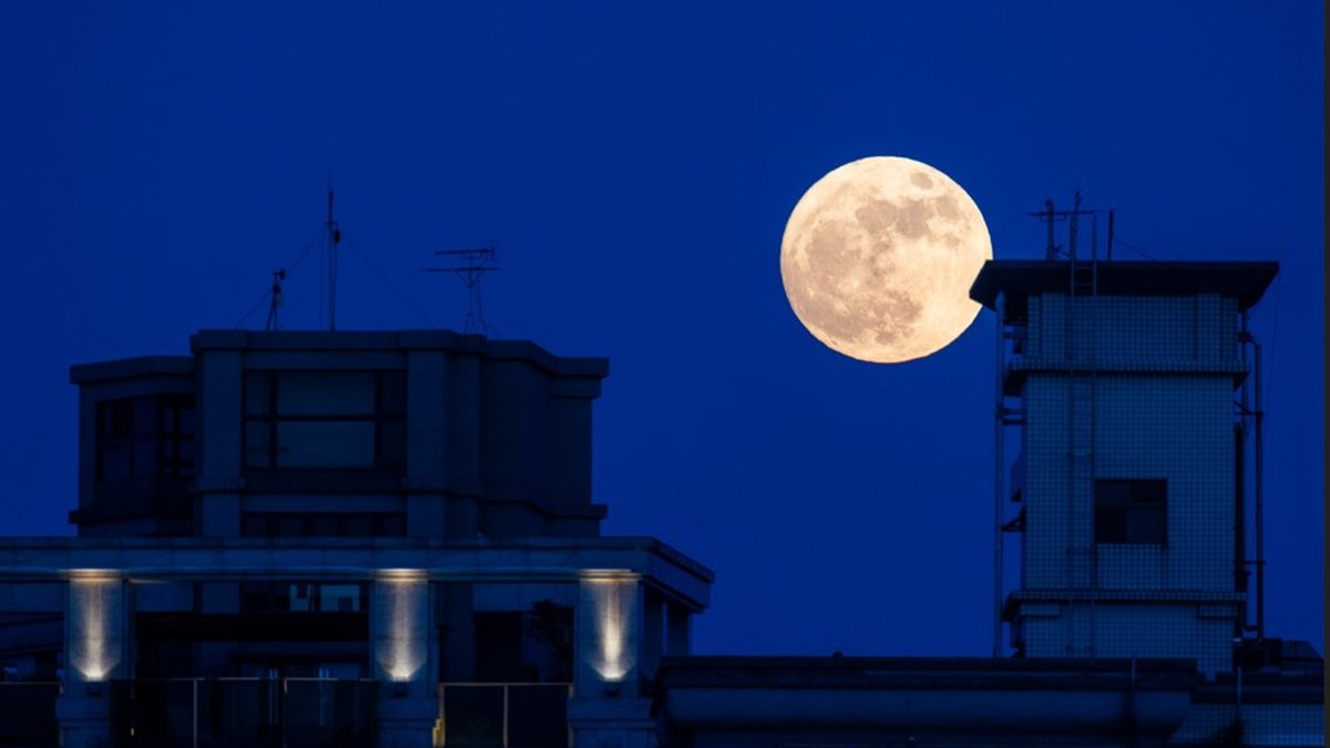 A Lua cheia de julho atinge seu pico nesta quinta-feira, 10, às 17h36 (horário de Brasília), mas ela pode ficar mais visível após o pôr-do-sol - Envato