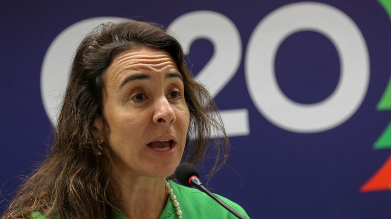Tatiana Rosito disse que muitos projetos na área de transição climática envolvem novas tecnologias ou maiores riscos - Wilson Dias/Agência Brasil