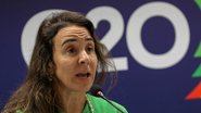 Tatiana Rosito disse que muitos projetos na área de transição climática envolvem novas tecnologias ou maiores riscos - Wilson Dias/Agência Brasil