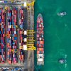 Plano é apresentar aos parlamentares estimativas de impacto do tarifaço sobre as exportações agropecuárias - Envato