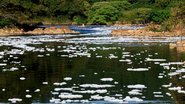 Espuma tóxica pode ser vista em trecho do Rio Tietê na cidade de Salto - Adobe Stock