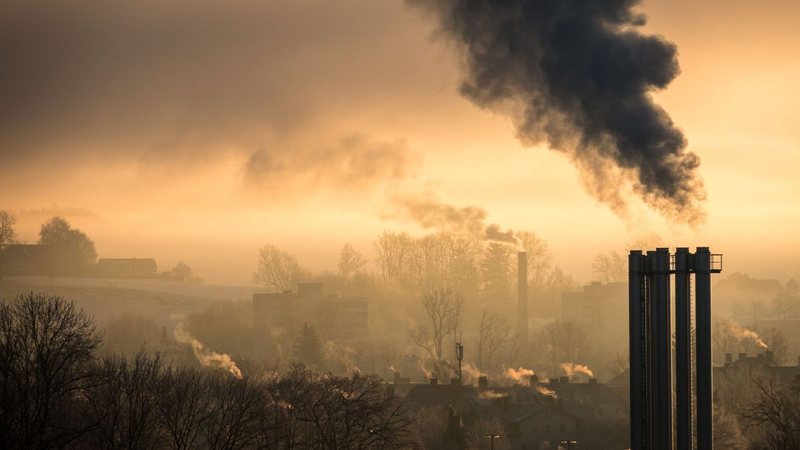Falar sobre saúde pulmonar é falar sobre prevenção, diagnóstico precoce e acesso a tratamentos modernos - Foto: Envato Elements