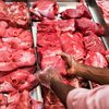 Parceiros do Mercosul permanecem autorizados a embarcar carnes de bovinos, ovinos e aves - Envato