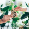 Simulação apontou que a economia pode chegar a 53% no Mato Grosso do Sul, 50% na Bahia e 33% no Rio Grande do Sul - Envato