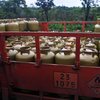 Os beneficiários, que precisam estar cadastrados no CadÚnico, terão um crédito para comprar o gás de cozinha - Marcello Casal jr/Agência Brasil