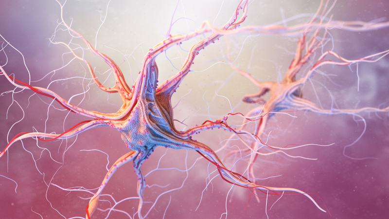 Novo estudo usa Inteligência Artificial para detectar ELA precocemente; veja como - Foto: Envato Elements