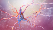 Novo estudo usa Inteligência Artificial para detectar ELA precocemente; veja como - Foto: Envato Elements