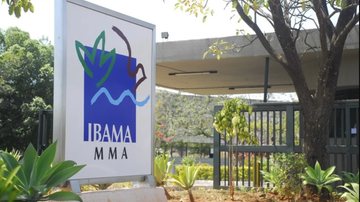 De acordo com o Ibama, instituição acaba atuando com revisor de estudos, cuja qualidade estaria caindo desde 2020 - Gabriel Vasconcelos, da Agência iNFRA