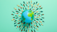 Os embarques estão previstos para o primeiro semestre de 2026 - Foto: Envato Elements