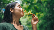 A pesquisa mostrou que cheiros despertam memórias mais vívidas, emocionais e detalhadas, enquanto pistas verbais tendem a levar a lembranças mais genéricas - Foto: Envato Elements
