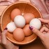 Fica o alerta: não é possível fazer a pasteurização de ovos em casa - Foto: Envato Elements