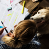 Seu cachorrinho pode ser mais parecido com você do que você imagina - Foto: Envato Elements