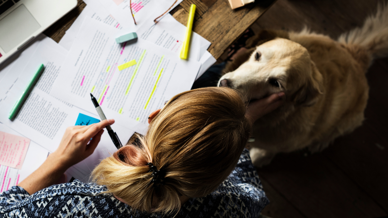 Seu cachorrinho pode ser mais parecido com você do que você imagina - Foto: Envato Elements
