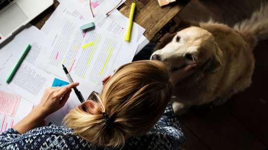 Seu cachorrinho pode ser mais parecido com você do que você imagina - Foto: Envato Elements