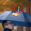 Entenda a função da ponta metálica do guarda-chuva - Foto: Envato Elements
