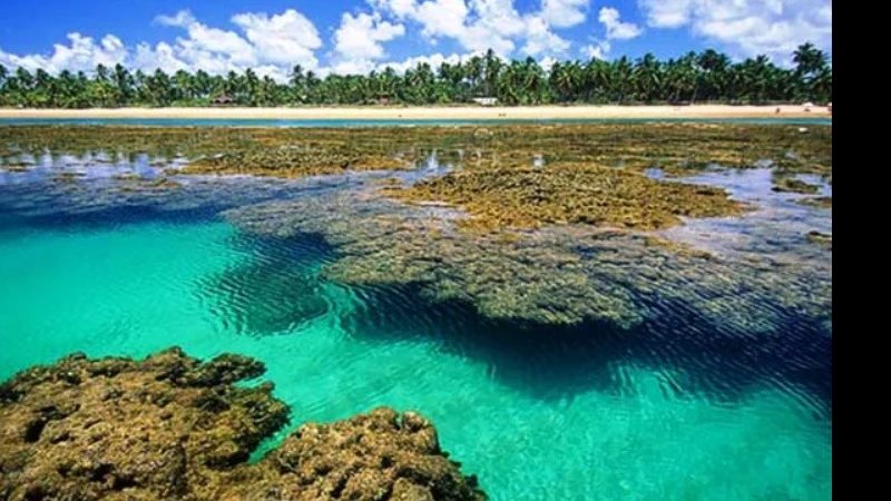Taipu de Fora, na maré baixa a barreira de corais revela imensas piscinas naturais, que se transformam em verdadeiros aquários cheios de vida marinha - Divulgação